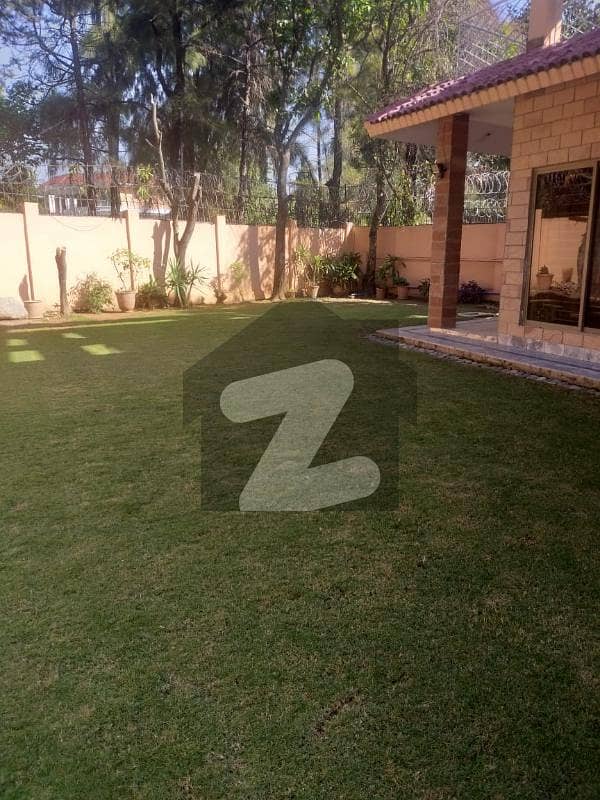 533 Sqyrd Double Storey with Huge Lawn Available for Rent E 7