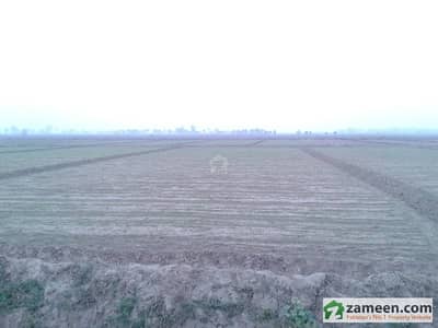 25 Acre Agricultural Land For Sale