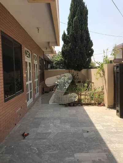 12 Marla Single Storey House For Rent
