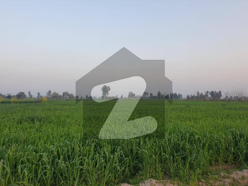 مانگا منڈی لاہور میں 30 کنال زرعی زمین 1.1 کروڑ میں برائے فروخت۔
