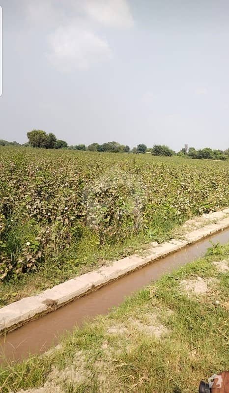 2 Acre Agriculture Land For Sale 2 Acre Agriculture Land For Sale