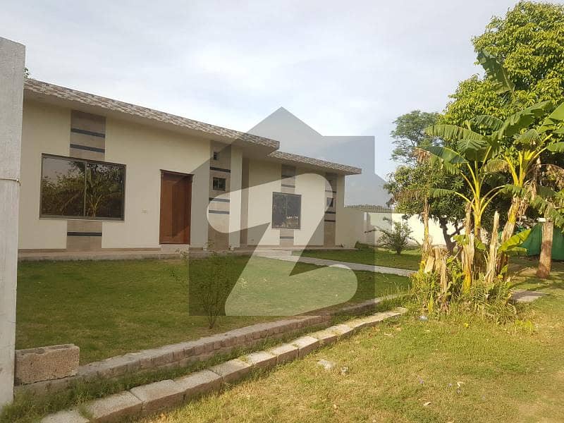 4 Kanal And 9 Marla Farm House With 3 Bed Single Storey House