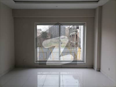 Flat 444 Square Yards For rent In G-11/2
