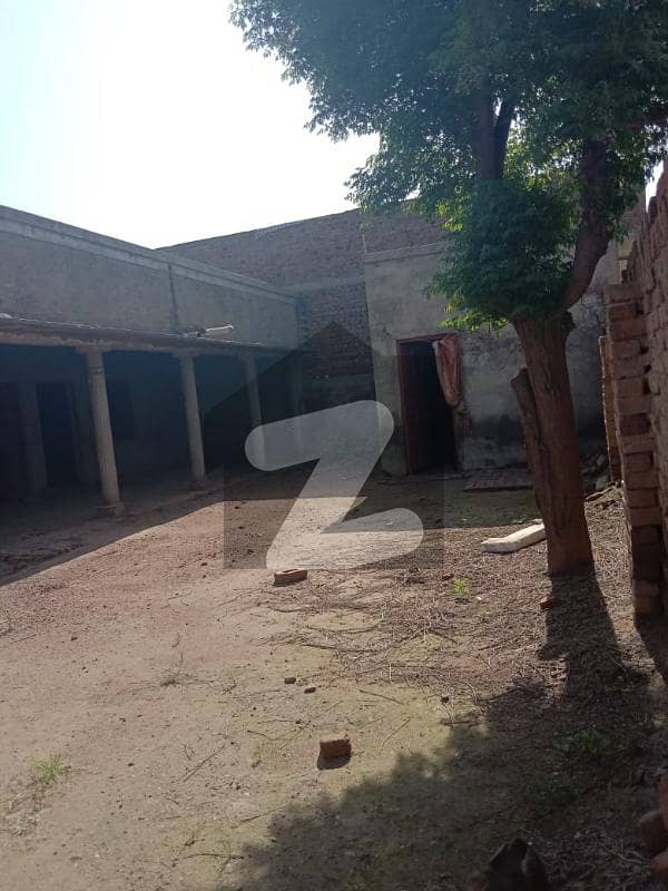 شاہ پور سرگودھا میں 5 کمروں کا 10 مرلہ مکان 40 لاکھ میں برائے فروخت۔