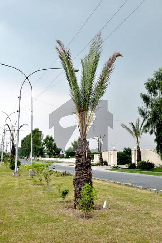 1,500 Square Feet Commercial Plot is Available for Sale in Chinar Bagh