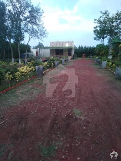 Farm House For Rent In Dha 10 Area 6 Kamal Beautiful Location Lush Green Beautifully Decorated