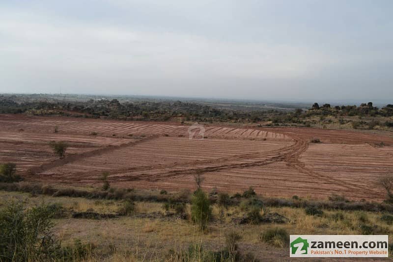 Best For Farming - Agricultural Land For Sale Near Motorway City