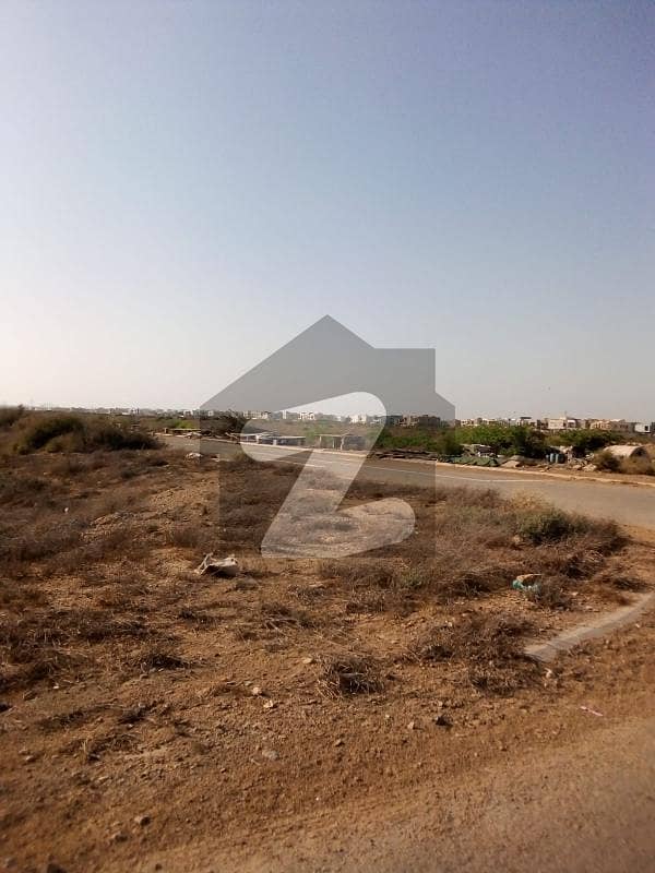 Dha C Zone 1000 Yard Chance Deal Urgent Sale Available