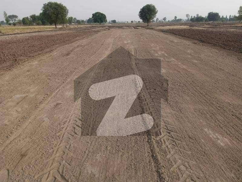 حربور لاہور میں 2 کنال زرعی زمین 85 لاکھ میں برائے فروخت۔
