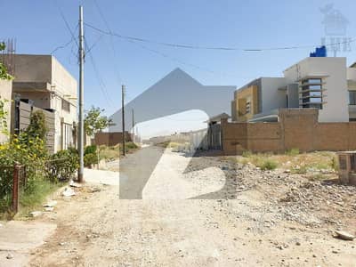 3600 Square Feet Residential Plot For Sale IN Wapda Town Quetta.