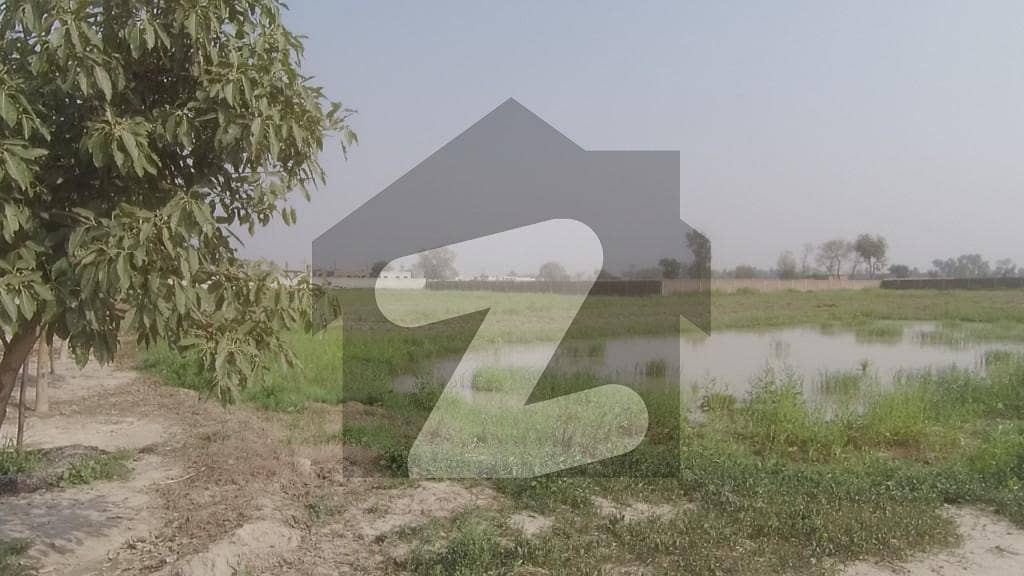 واگا ٹاؤن لاہور میں 24 کنال زرعی زمین 3.1 کروڑ میں برائے فروخت۔
