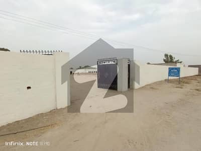 Cattle Farm Poultry Farm Storage Warehouse At Mehmood Kot