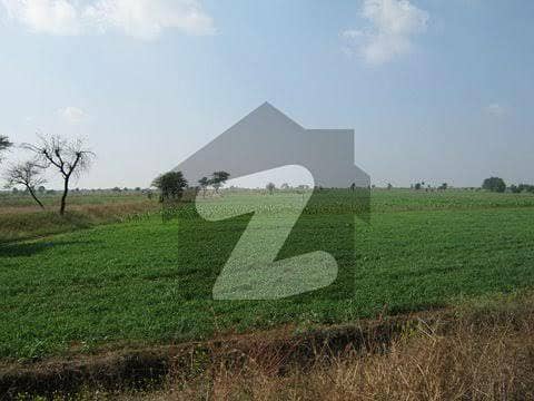 الہ آباد روڈ لیاقت پور میں 80 کنال زرعی زمین 2 کروڑ میں برائے فروخت۔