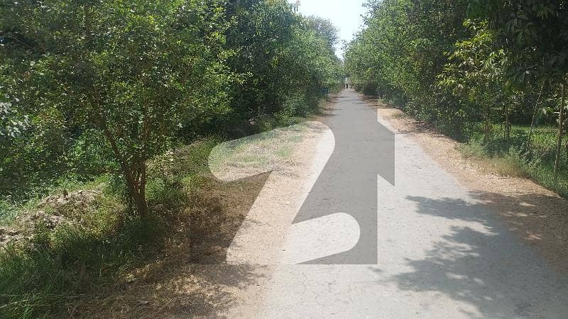 Spacious 360000 Square Feet Agricultural Land Available For Sale In Raheem Town