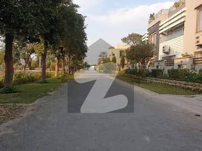 04 Marla Commercial Plot For Sale In (f) Block