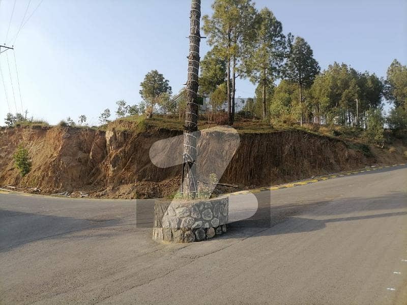 10 Marla Plot Available For Sale At Shimla Hill Road
