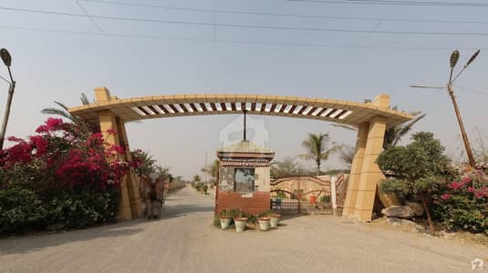 10000 Square Yards Farm House In Bin Qasim Town For Rent