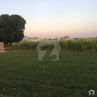 Land