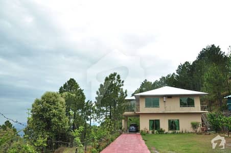 Upper Portion For Rent In Summers Hut