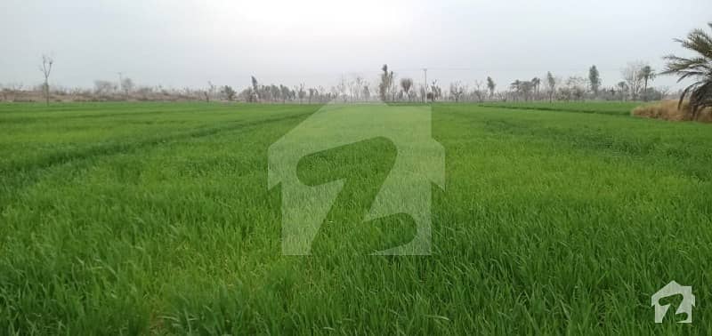 9 Acres Agricultural Land On Daira-chowk Munda Road