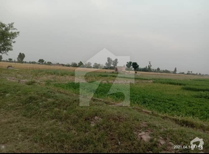 15 Acres Agriculture Land For Sale In Chak No 19AML Tehsil Piplan District Mianwali