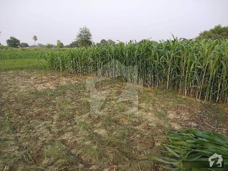 Agricultural Land For Sale In Rs. 15,000,000