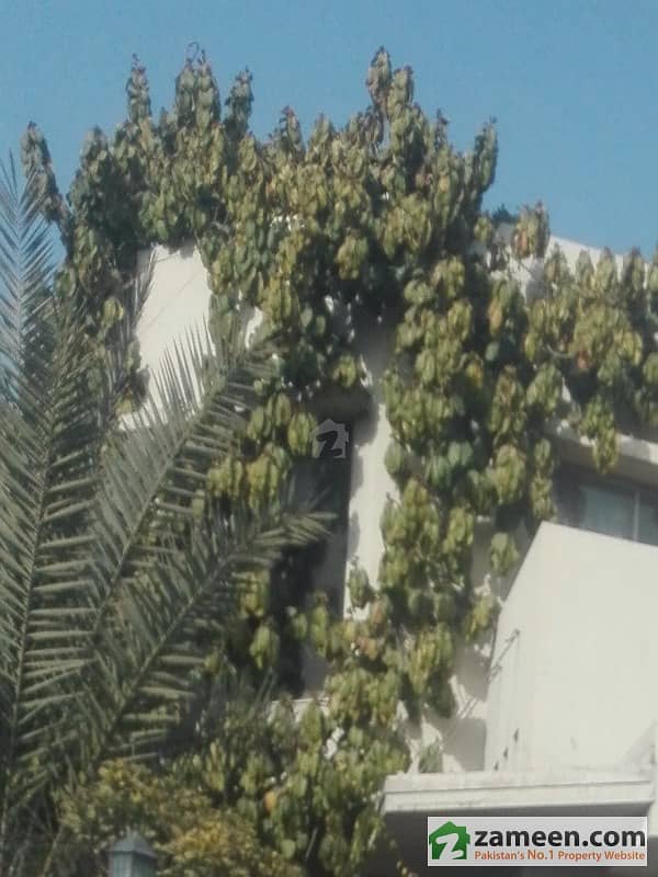 House Available For Rent In Soan Garden Near Islamabad Highway Soan