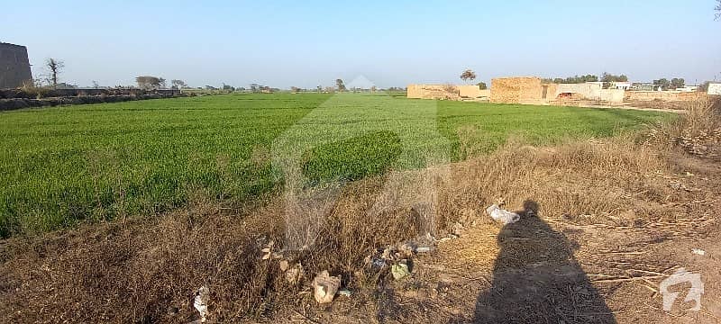Land For Sale Faisalabad Road