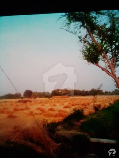 20 Acre Agriculture Land For Sale