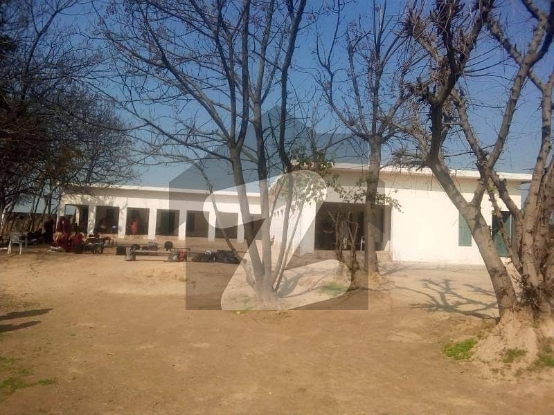 School With Building For Sale In Sankhatra