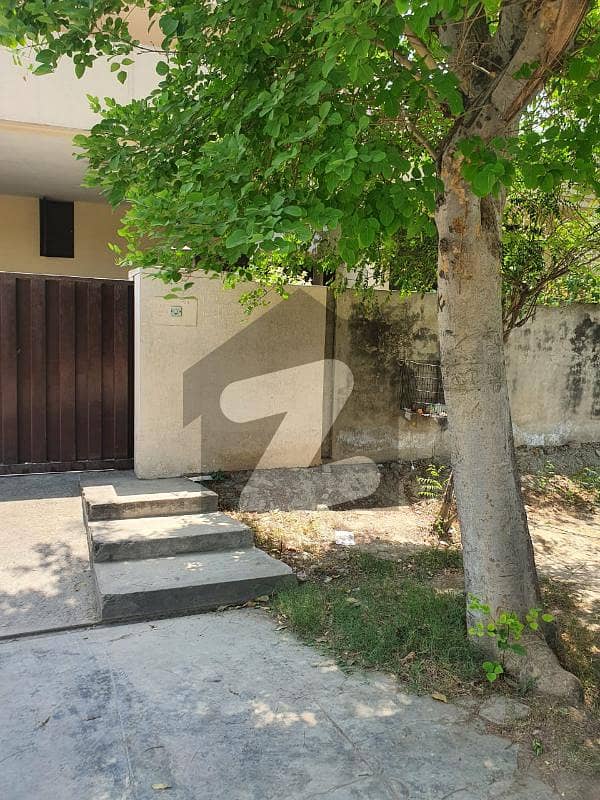 45 Marla Corner One Kanal Old House And One Kanal Lawn Good Location