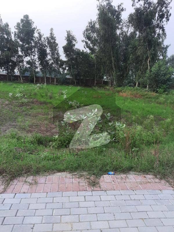 Prime Location 20 Kanal Land For Farmhouse Land Sale Bedian Road