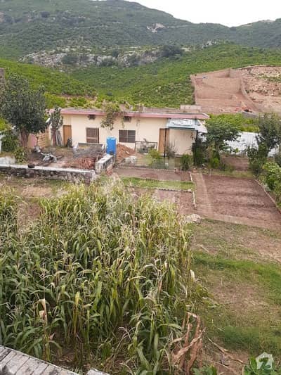 Beautiful Farmhouse For Sale In Shah Allah Ditta ( Very Near To C12)