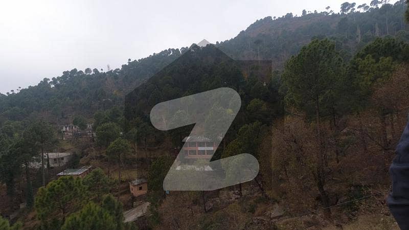 1200 Sq. ft 1st Floor Apartment In The Most Secure Locality In Murree Expressway Musyari Murree