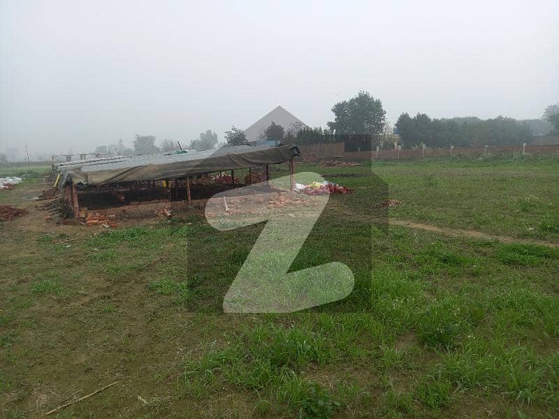 بیدیاں روڈ لاہور میں 16 کنال زرعی زمین 60 ہزار میں کرایہ پر دستیاب ہے۔