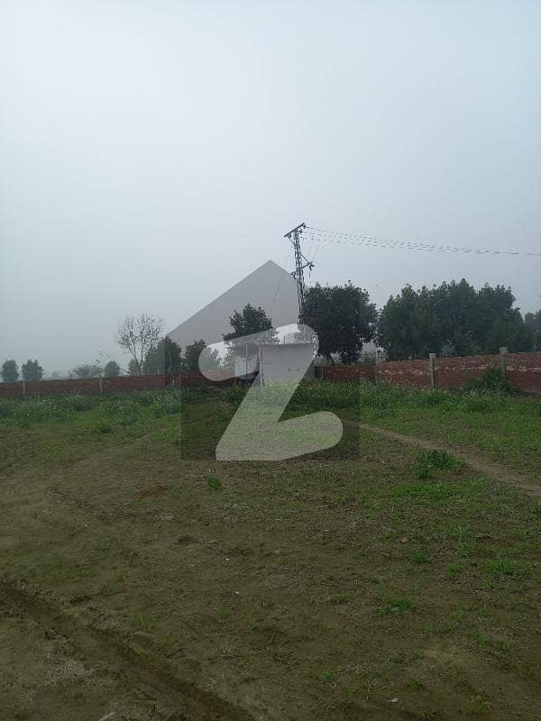 بیدیاں روڈ لاہور میں 8 کنال زرعی زمین 30 ہزار میں کرایہ پر دستیاب ہے۔