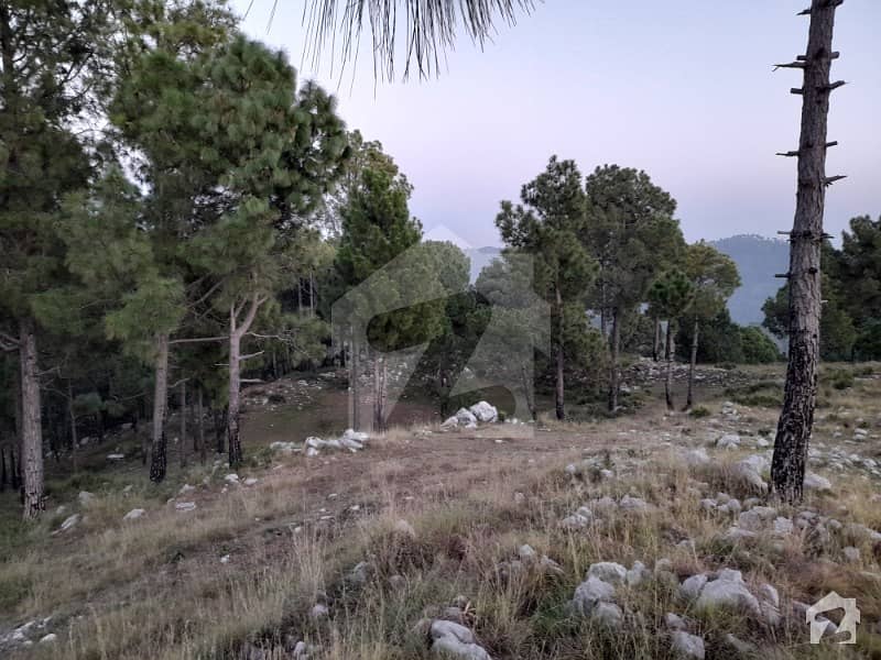 67500  Square Feet Residential Plot Is Available For Sale In Pir Sohawa