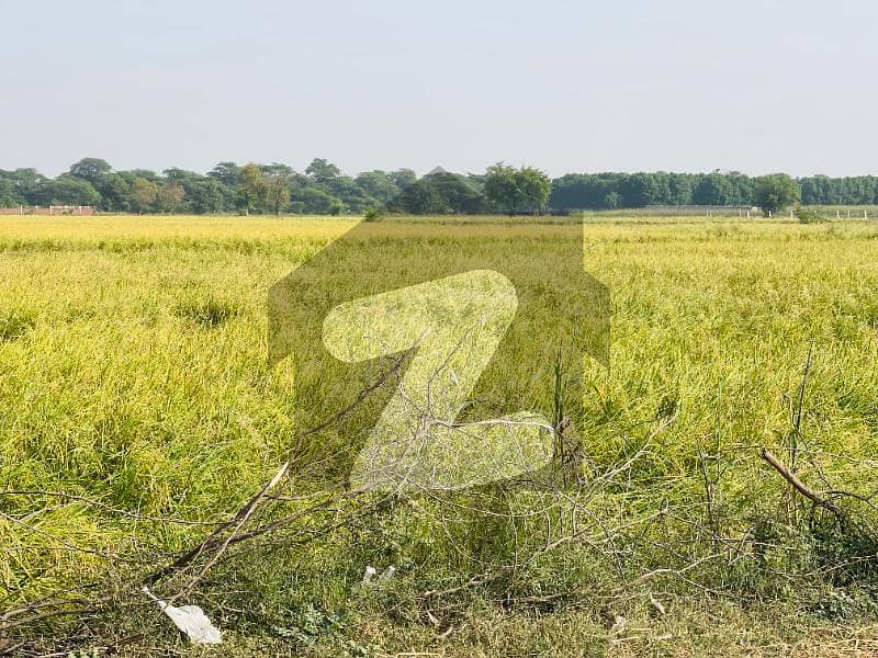 6 Acre Land Available For Sale On A Japan Road Near Barki On Investor