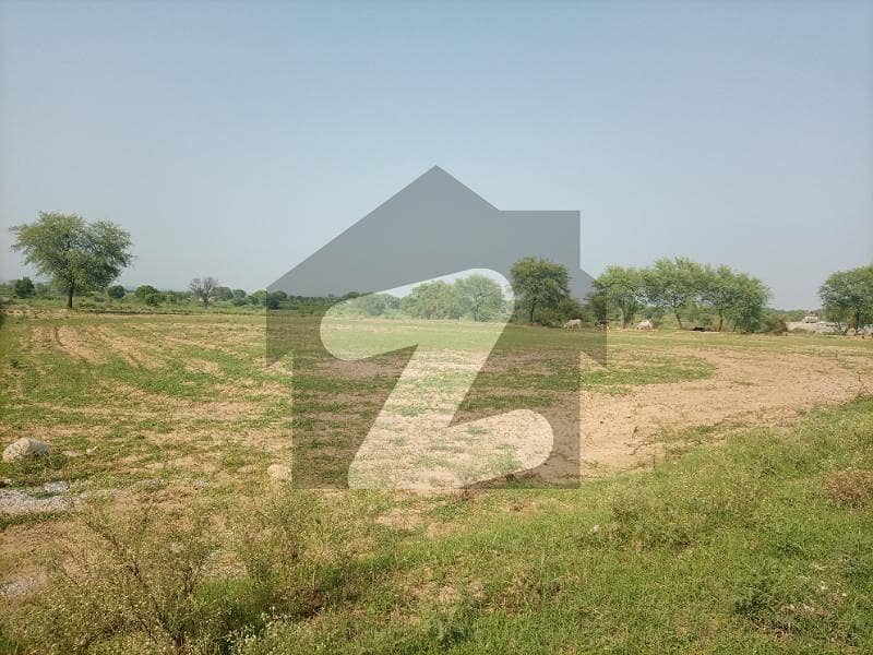 Agricultural Land In Chakbeli Road Sized 10 Kanal Is Available