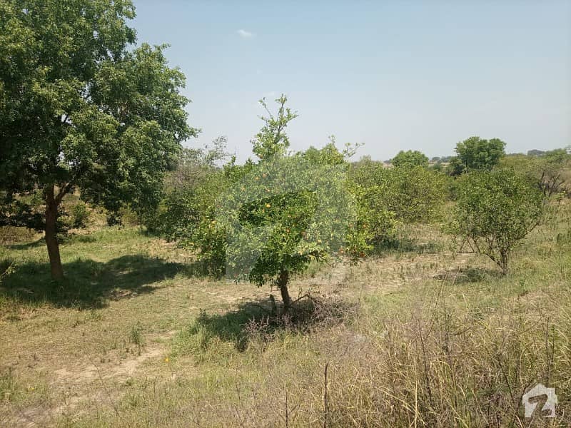 100 Kanal Farm House For Sale GT Road, Rawalpindi ID30982116