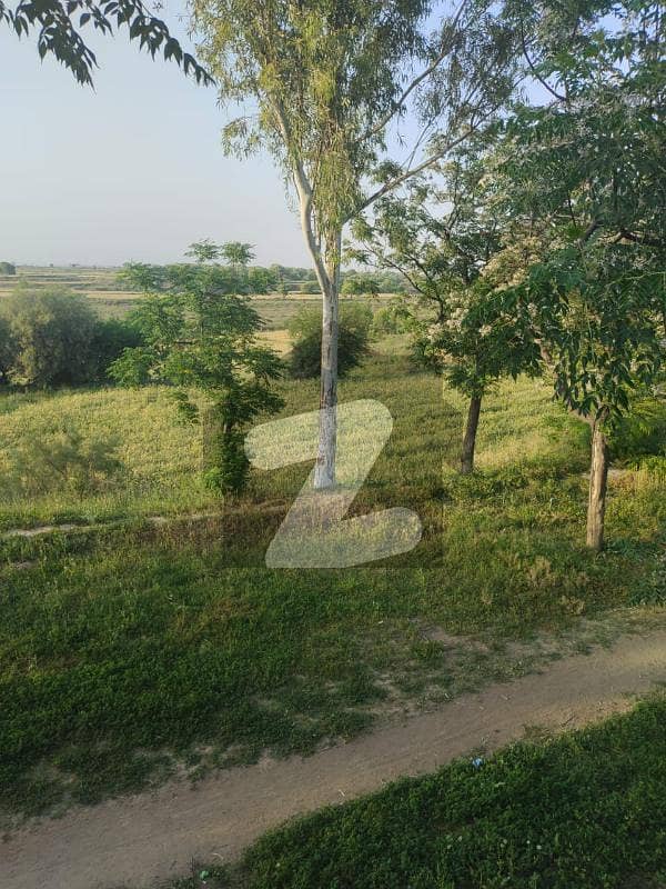 109 kanal Agricultures land for sale