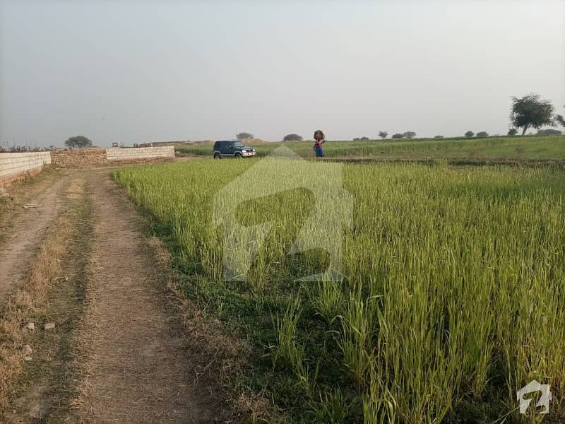 منڈرا ۔ چکوال روڈ مندرہ راولپنڈی میں 21 کنال زرعی زمین 2.31 کروڑ میں برائے فروخت۔