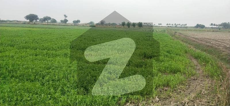 16 Acres Both Side Road Front Agricultural Land Is Available On Main Babra Road Near Gharo