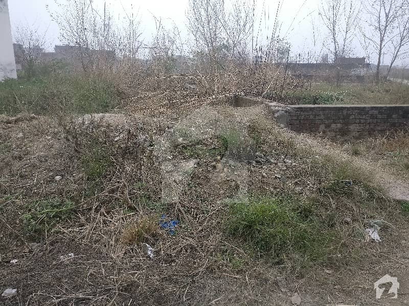Plot  For  Sell  In Shahdola Town Gujrat