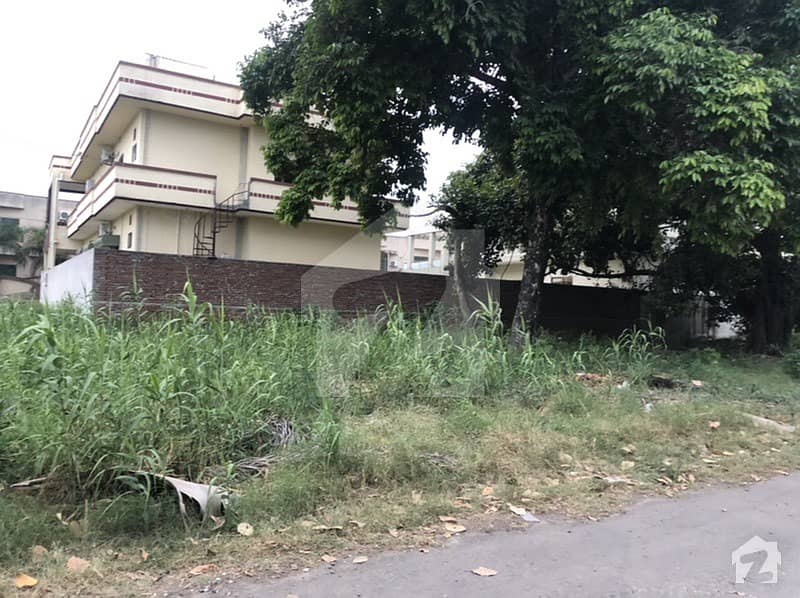 Residential Plot Is Available For Sale Residential Plot Is Available For Sale
