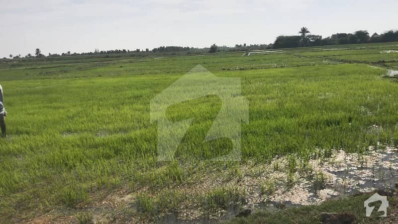 Agricultural Land Is Available For Rent