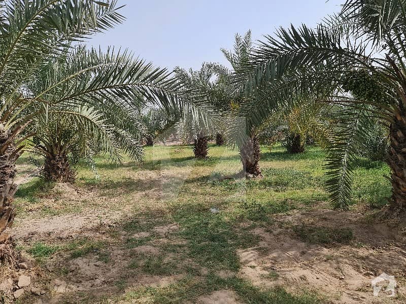 Agricultural Land 400 Kanal Near Qasba Marral