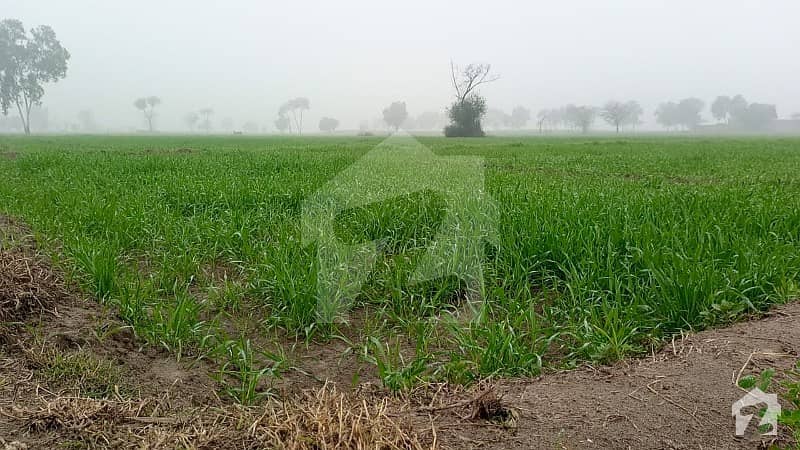 1 Acre Main Street Facing Agricultural Land In - Chak # 348/Gojra