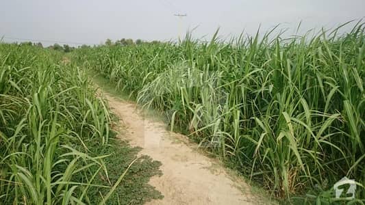 45 Acre Agriculture Land Forl Sale In Mozah Jokh Mahar