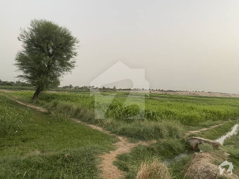 رحمت نیازی کالونی رحیم یار خان میں 64 کنال زرعی زمین 3.2 کروڑ میں برائے فروخت۔